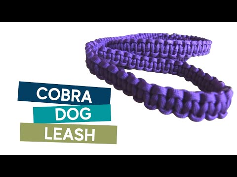 how-to-make-a-4ft-paracord-cobra-weave-dog-leash-easy-tutorial