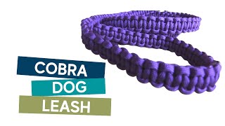 How to make a 4ft paracord cobra weave dog leash easy tutorial