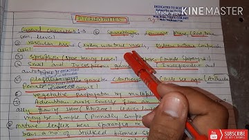 Pteridophytes,  general characters,  classification,  cycles and economic Importance