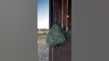 Add the Hay Chix Yoke to any spot in your barn or lean-to to create the perfect spot to hang a net!