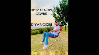 Diyar Ciziri Desmala Sipi Gevre🌹