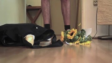 The Crumpler Urban Explorer Handbook: Tip # 2 - Preparedness