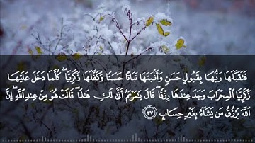 سورة آل عمران الآية : 37 - القارئ أحمد برهان محمد