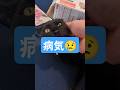 保護猫 病気