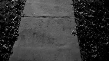 The Flying Scroll by Doctrynal X Regenerit