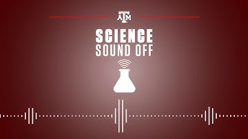 What is positive deviance?