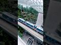 Layover at Singapore #snapshot #travel #singapore #layover