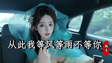 张良 - 从此我等风等雨不等你 (烟嗓男版) Cong Ci Wo Deng Feng Deng Yu Bu Deng Ni『我只是陪你走了一段路，你路过就忘 我却停在当初』『动态歌词MV』【完整版】