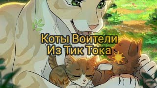 🔥Подборка с тик Тока (Коты Воители)🔥