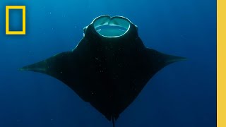 The Bahamas: It's Like Candy | Photographer | National Geographic