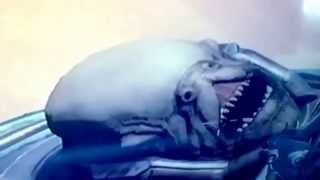 What the cabal look like in destiny after head blown off