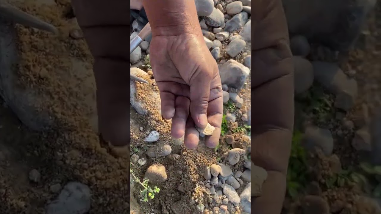 Real Treasure Hunting Vlog | Metal Detector #fullvlog  #MetalDetector #MetalDetecting #TreasureHunt