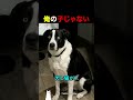 俺の子じゃない