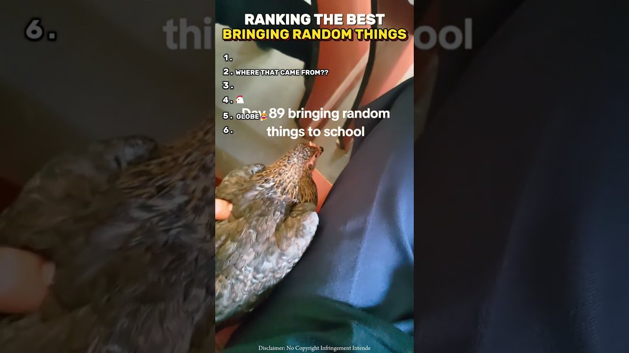 RANKING THE BEST BRINGING RANDOM THINGS AT SCHOOL WORK Shorts Funny