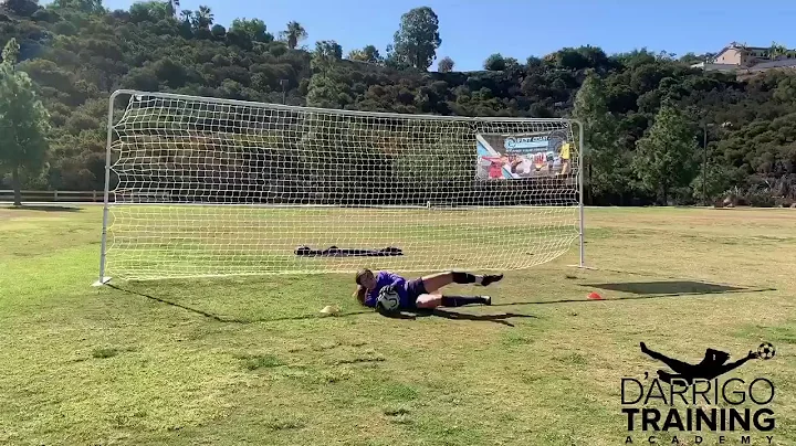 Jamo Training w Michael DArrigo