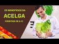 Benefícios da Acelga | vegetais de A-Z | Saúde Total