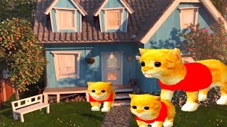 ПРИКЛЮЧЕНИЕ МАЛЕНЬКОГО КОТЕНКА мультфильм про котят мультик для детей и малышей #УШАСТИК КИДС ПРИКЛЮЧЕНИЕ МАЛЕНЬКОГО КОТЕНКА мультфильм про котят мультик для детей и малышей #УШАСТИК КИДС
