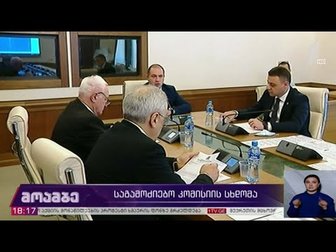 საგამოძიებო კომისიის სხდომა