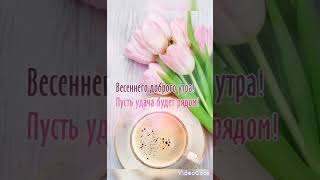 @Доброе утро, отличного настроения 💞💞🙋🌺🌺🌺.