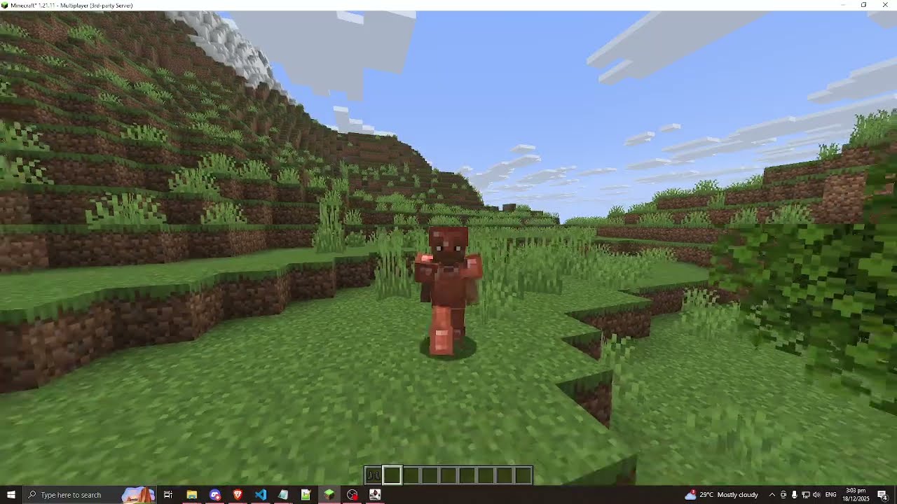 armor weight mod test