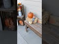 Simple Fall Front Porch Decor! 🍁
