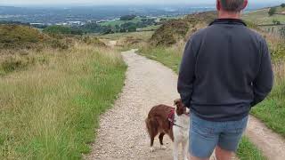 28.07.2022 - Mit Bonnie im Teggs Nose Country Park bei Macclesfield (Cheshire/England)