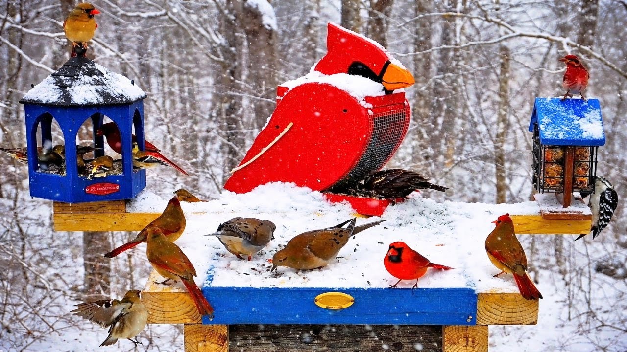 🎄 Cozy Christmas Relaxing Nature Sounds 24/7 🔥 | Holiday Cabin Ambience | Fire Sounds (No Music)