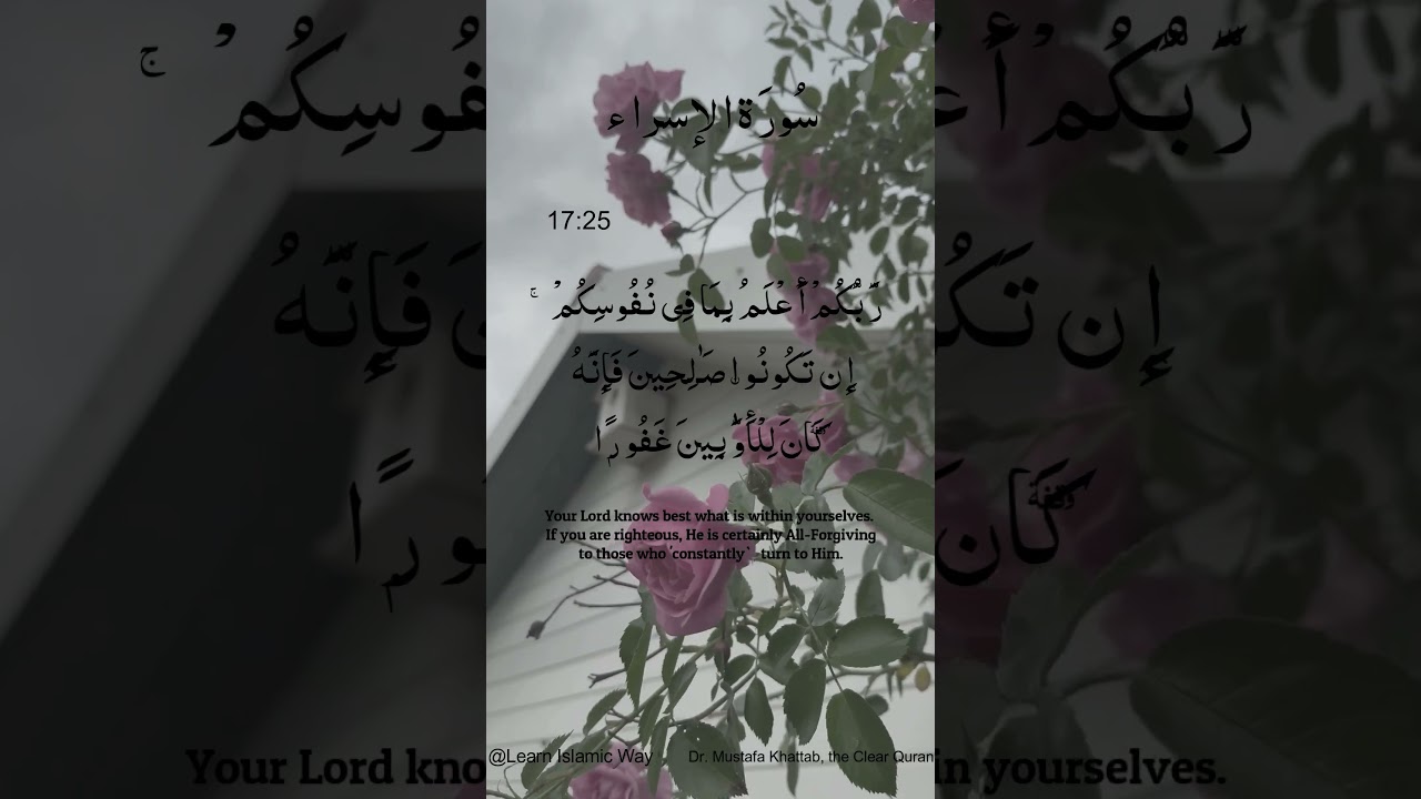 Al-Isra Surah Ayat No 17 : 25 26 Arabic | سورۃ الإسراء With English Translation  #quran #allah #yts