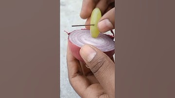 how to grow grapes from grapes.