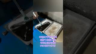 #구로구에바크리닝 #카이엔에어컨청소 #구로구자동차에어컨청소 #출장에바크리닝