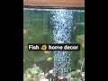 Home decor 💯#1234🐠🐠🐠🐠🐠 home 🏡🏡🏡#💯💯💯💯💯💯
