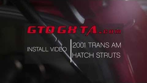 93-02 Firebird Trans Am Rear Hatch Lift Struts Supports Install