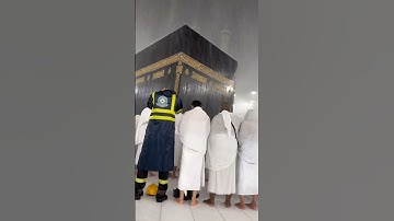 "خشوع لا يوصف مع تلاوة مؤثرة تهز القلوب"