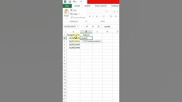Dasar Excel Rumus Year