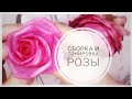 DIY.Сборка розы и тонировка лепестков.МК от Риты Assembling the rose and tinting the petals by Rita