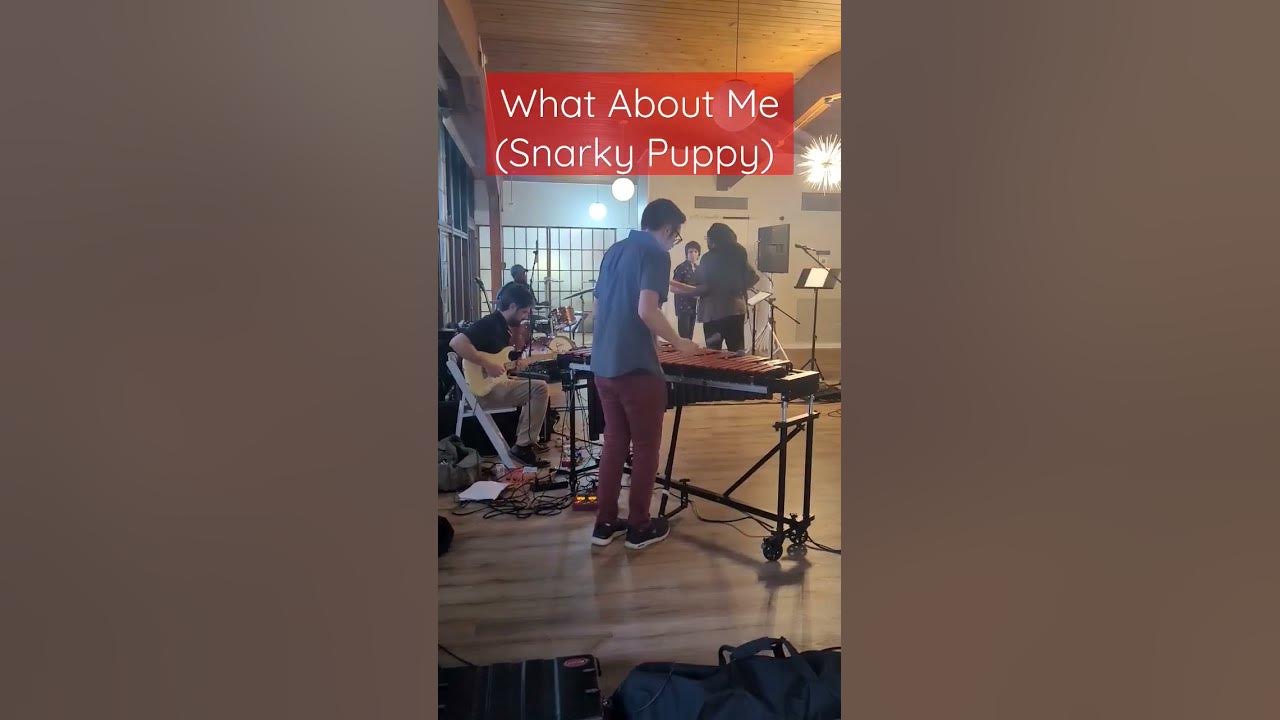 What About Me (Snarky Puppy) // Live Vibraphone Cover