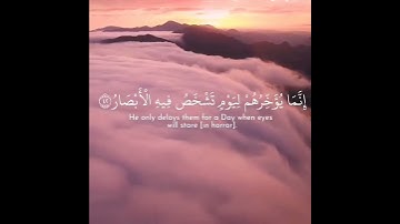 😴 القران الكريم بصوت جميل🌹♥️ سورة ابراهيم
