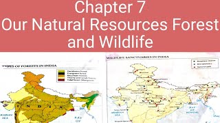 Class 4 chapter 7 Our Natural Resources Forest and Wildlife