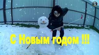 Смешное видео! Пингвин Поздравляет С Новым 2018 Годом! Смешное видео! Пингвин Поздравляет С Новым 2018 Годом!