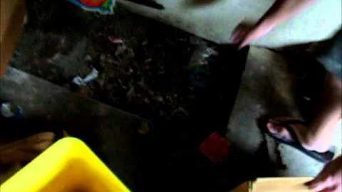 Janitorial-The Lost Trailer