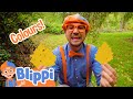 Learning Fall Colors With Blippi | Art Videos For Children | Educational Videos For Kids