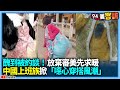 中國上班族穿搭趨勢