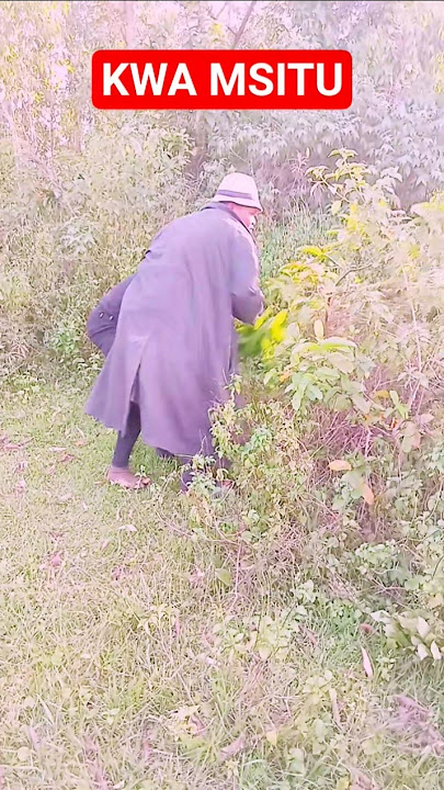 Have ever done this #comedymove #funny #funnypictures #lifeisbutadream #viral #viralvideo