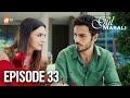 Gul Masali English Episode 33 Gul Masali English Episode 33