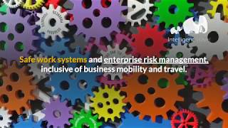 Risk Identification, Step 3 of 7 - Travel Risk Management.