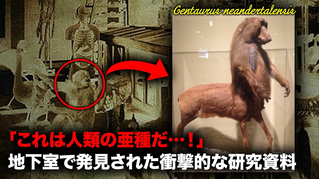 写真や剥製が世界中の博物館で展示された、奇妙な動物たち【事件事故】