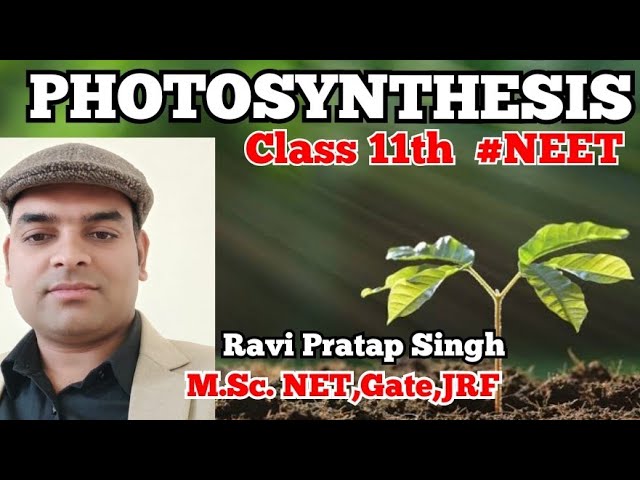 Photosynthesis(Lec-1)Class11th #neet #neet2021 #Crack neet by Ravi Pratap Singh