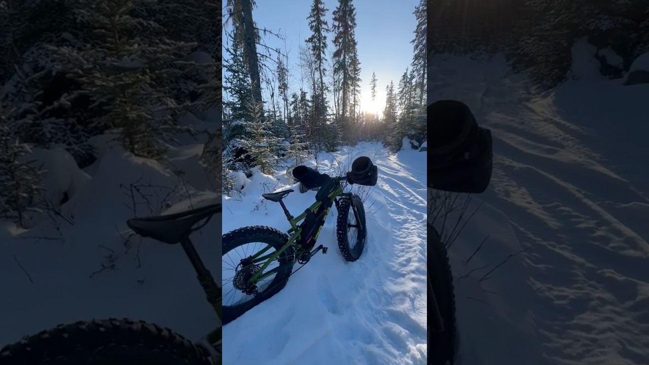 A rest from fat biking in the peaceful boreal forest. 😊 
