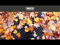 TRILO solutions for clearing leaves