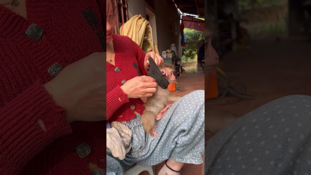 Mom changed Bubu's clothes.❤️